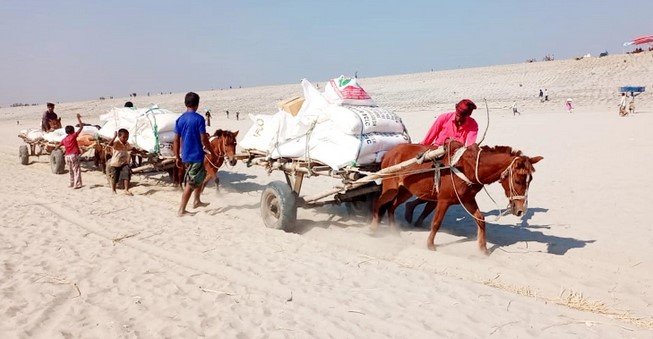 গাইবান্ধার চরে যাতায়াতে একমাত্র ভরসা ঘোড়ার গাড়ি